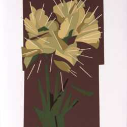 CARLOS SCLIAR (50cm x 70cm)