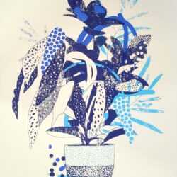 MATEU VELASCO (50cm x 70cm)